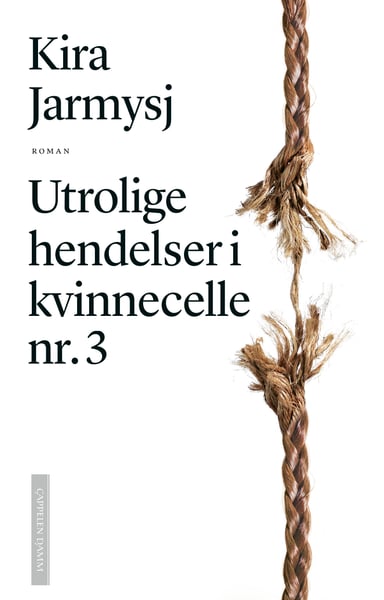 Omslag av "Utrolige hendelser i kvinnecelle nr. 3"