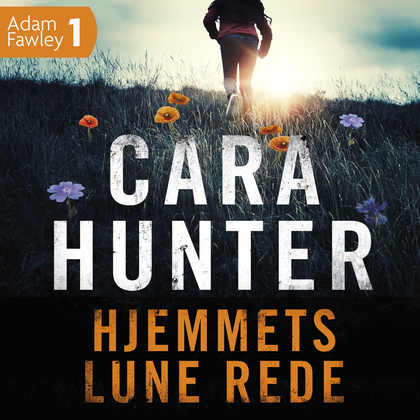 Omslag Hjemmets lune rede av Cara Hunter (Lydbok)