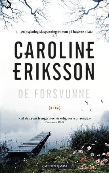 Omslag av "De forsvunne"