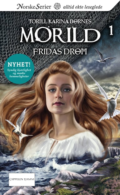 Omslag av "Fridas drøm"