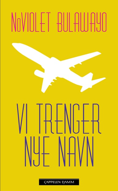 Omslag av "Vi trenger nye navn"