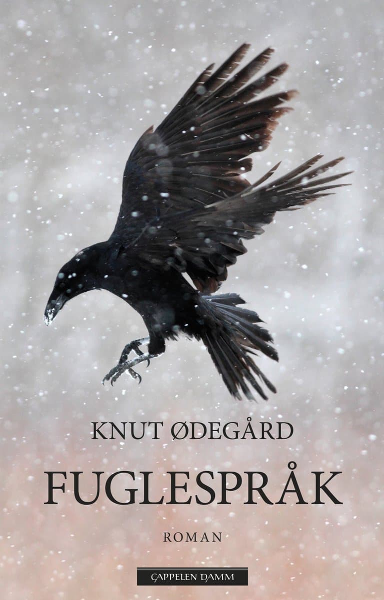 Omslag Fuglespråk av Knut Ødegård (Ebok)