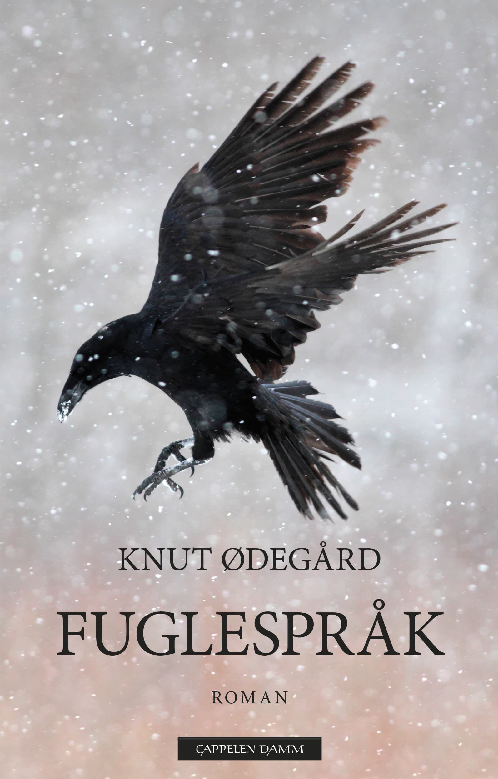 Omslag Fuglespråk av Knut Ødegård (Ebok)