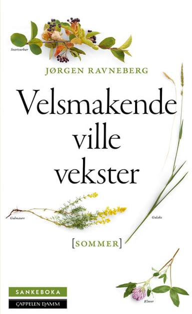 Omslag av "Sankeboka sommer"