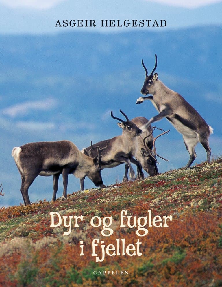 Omslag Dyr og fugler i fjellet av Asgeir Helgestad (Innbundet)