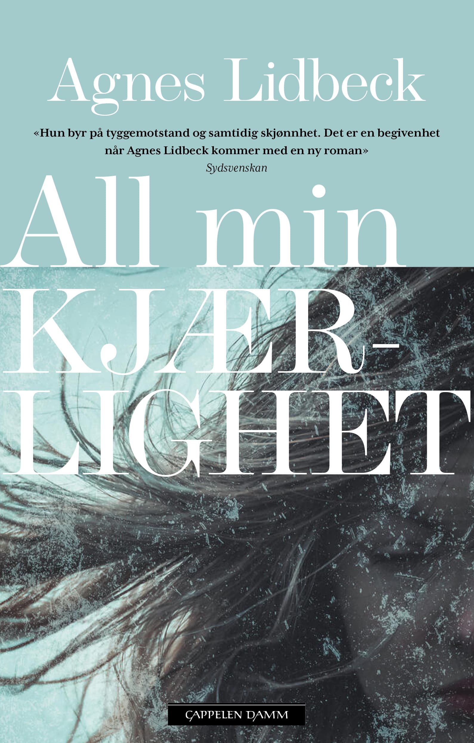 Omslag All min kjærlighet av Agnes Lidbeck (Ebok)