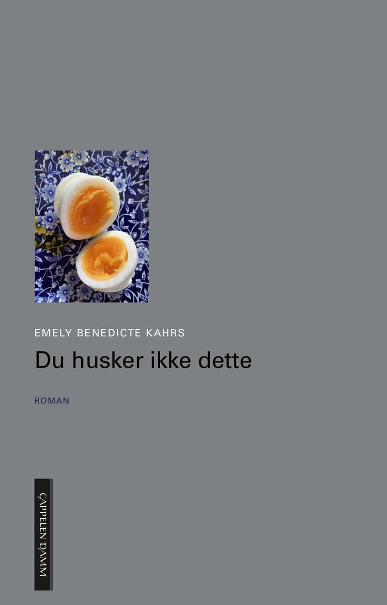 Omslag Du husker ikke dette av Emely Benedicte Kahrs (Ebok)
