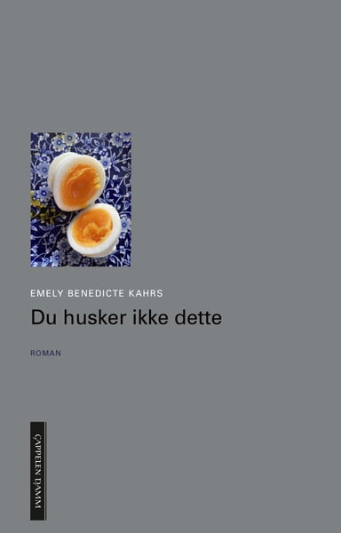 Omslag av "Du husker ikke dette"