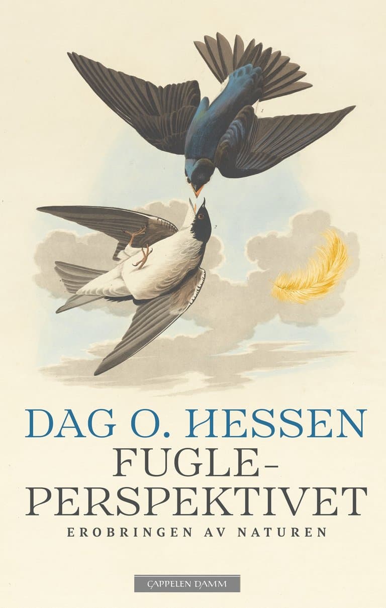Omslag Fugleperspektivet av Dag O. Hessen (Innbundet)