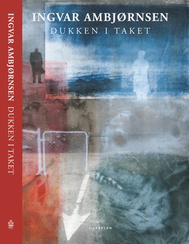 Dukken i taket