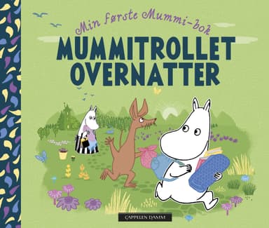 Min første Mummi-bok: Mummitrollet overnatter