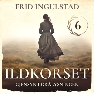 Omslag av "Gjensyn i grålysningen"