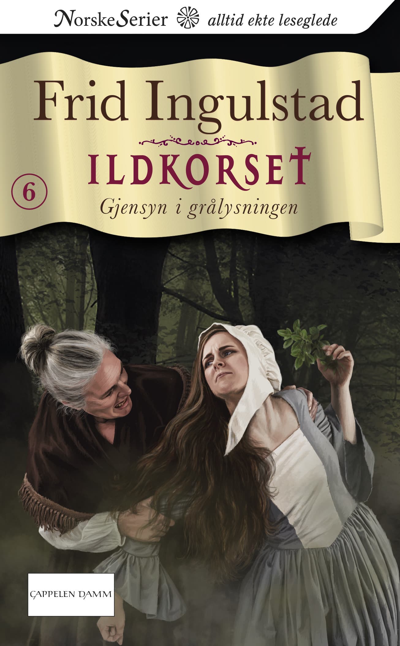 Omslag Gjensyn i grålysningen av Frid Ingulstad (Ebok)