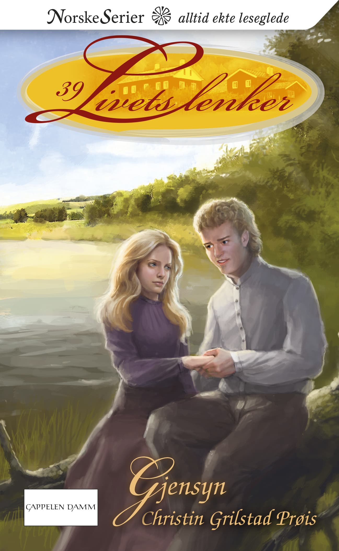Omslag Gjensyn av Christin Grilstad Prøis (Ebok)
