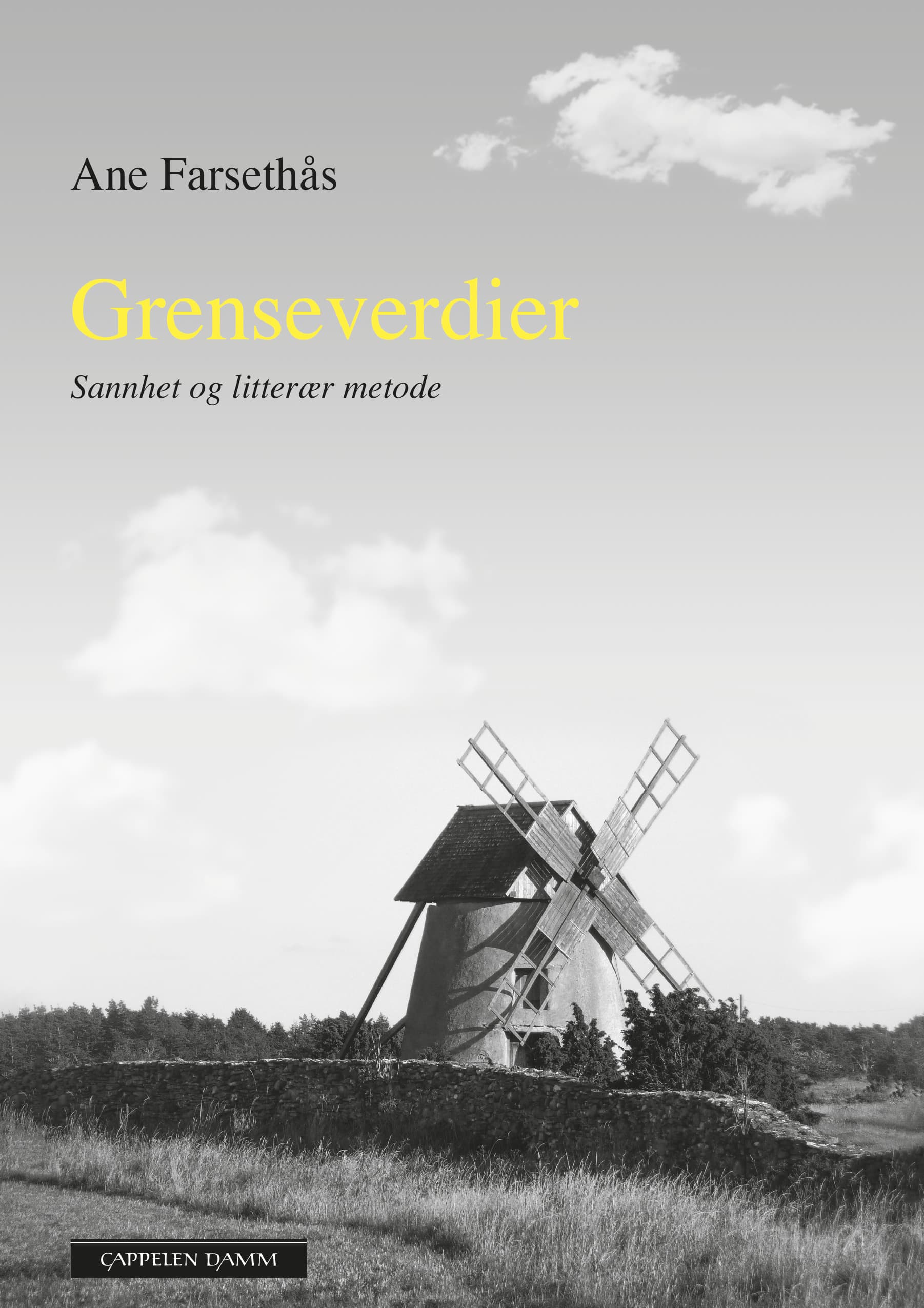Omslag Grenseverdier av Ane Farsethås (Ebok)