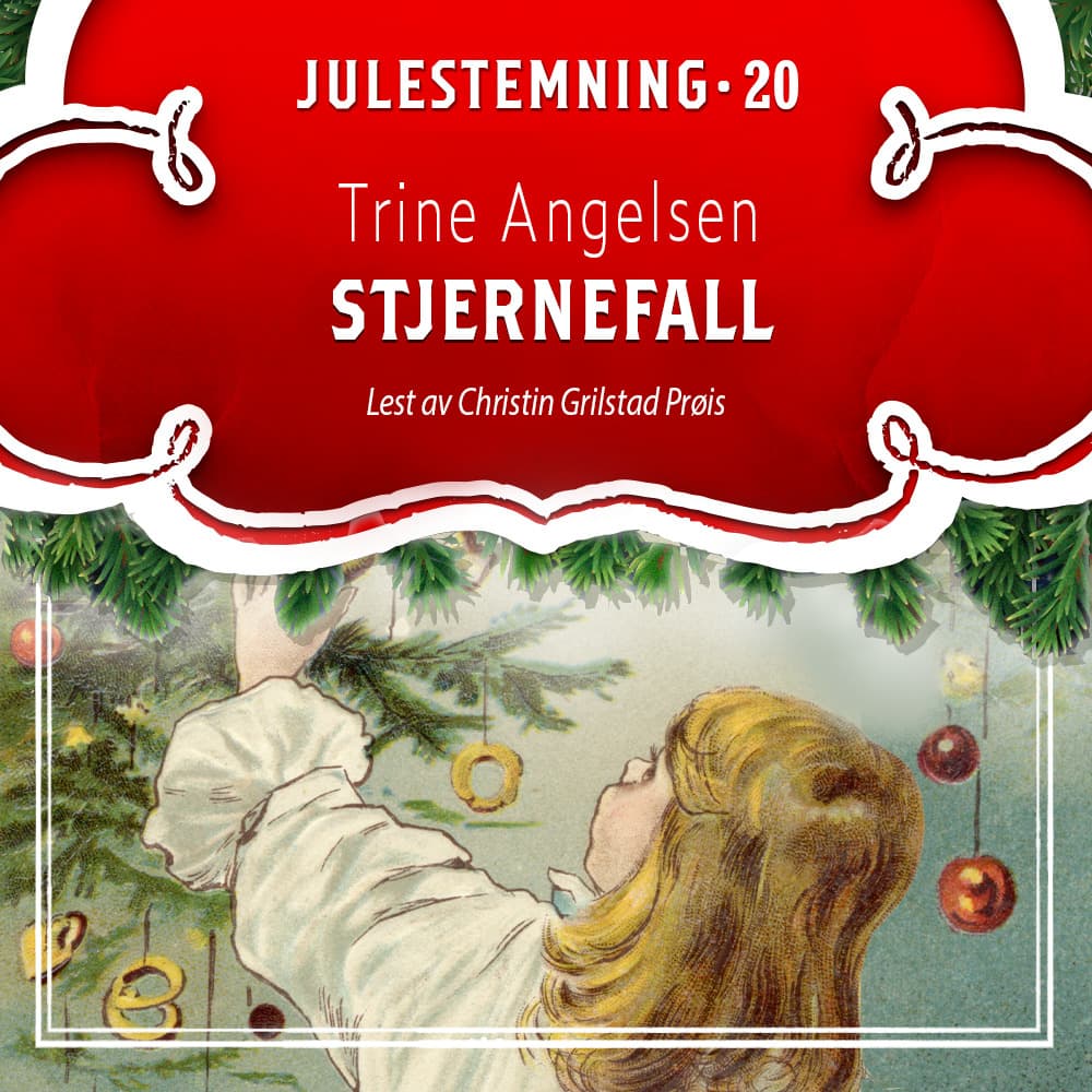 Omslag Stjernefall av Trine Angelsen (Lydbok)