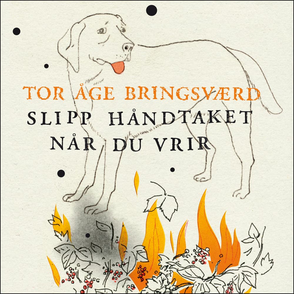 Omslag Slipp håndtaket når du vrir av Tor Åge Bringsværd (Lydbok)