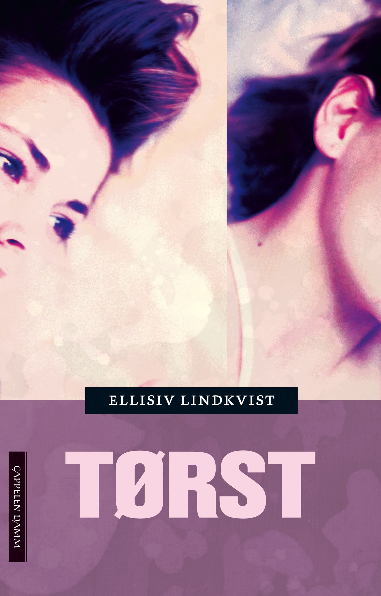 Omslag Tørst av Ellisiv Lindkvist (Innbundet)