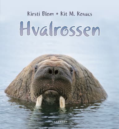 Hvalrossen