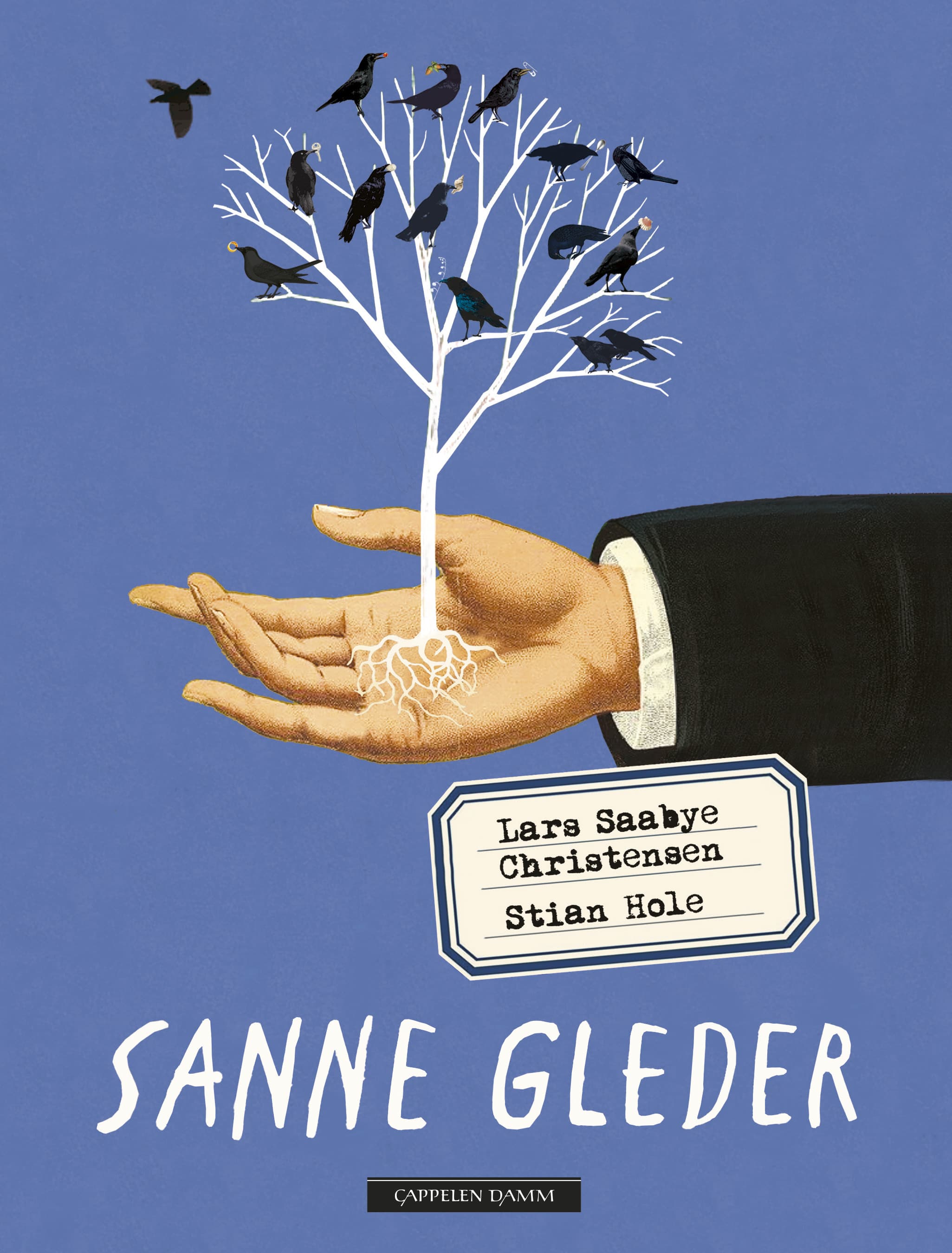 Omslag Sanne gleder av Lars Saabye Christensen (Innbundet)