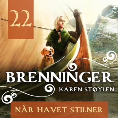 Omslag av "Når havet stilner"