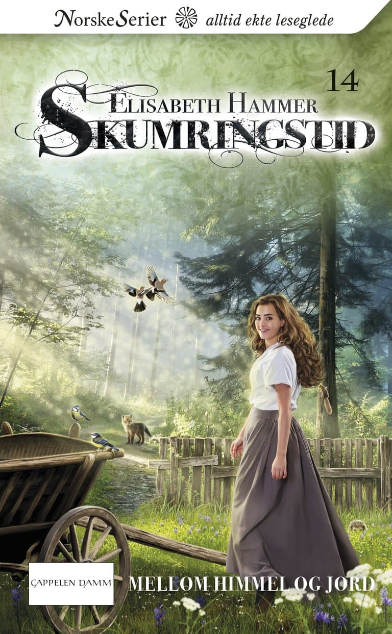 Omslag Mellom himmel og jord av Elisabeth Hammer (Ebok)