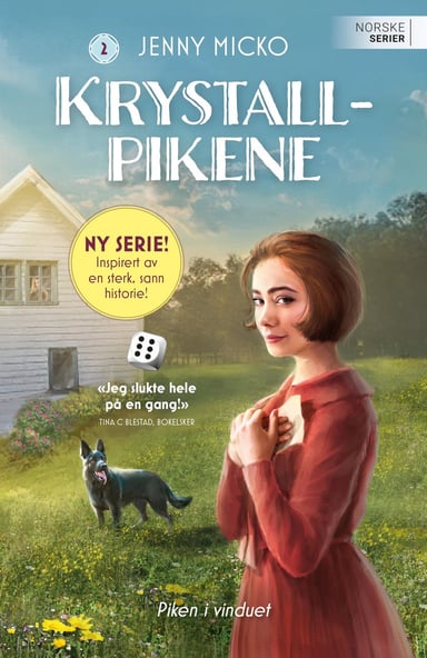 Omslag av "Piken i vinduet"