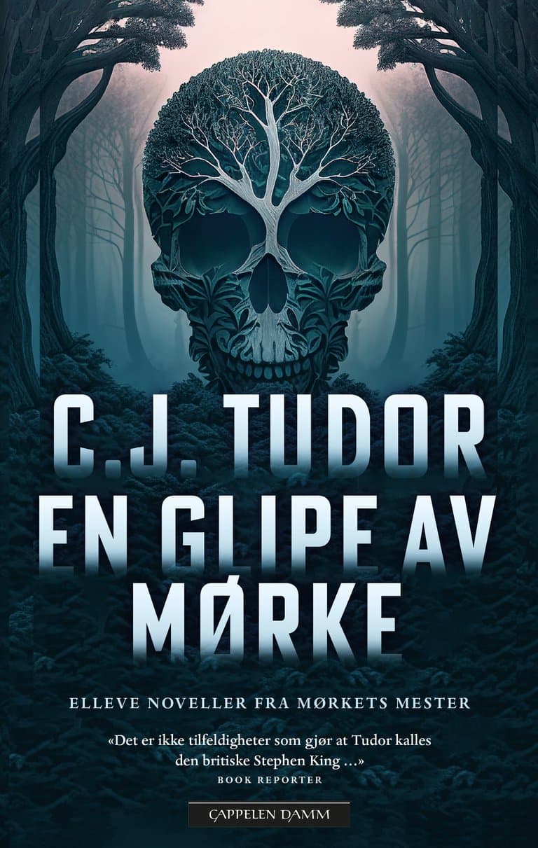 Omslag En glipe av mørke av C.J. Tudor (Innbundet)