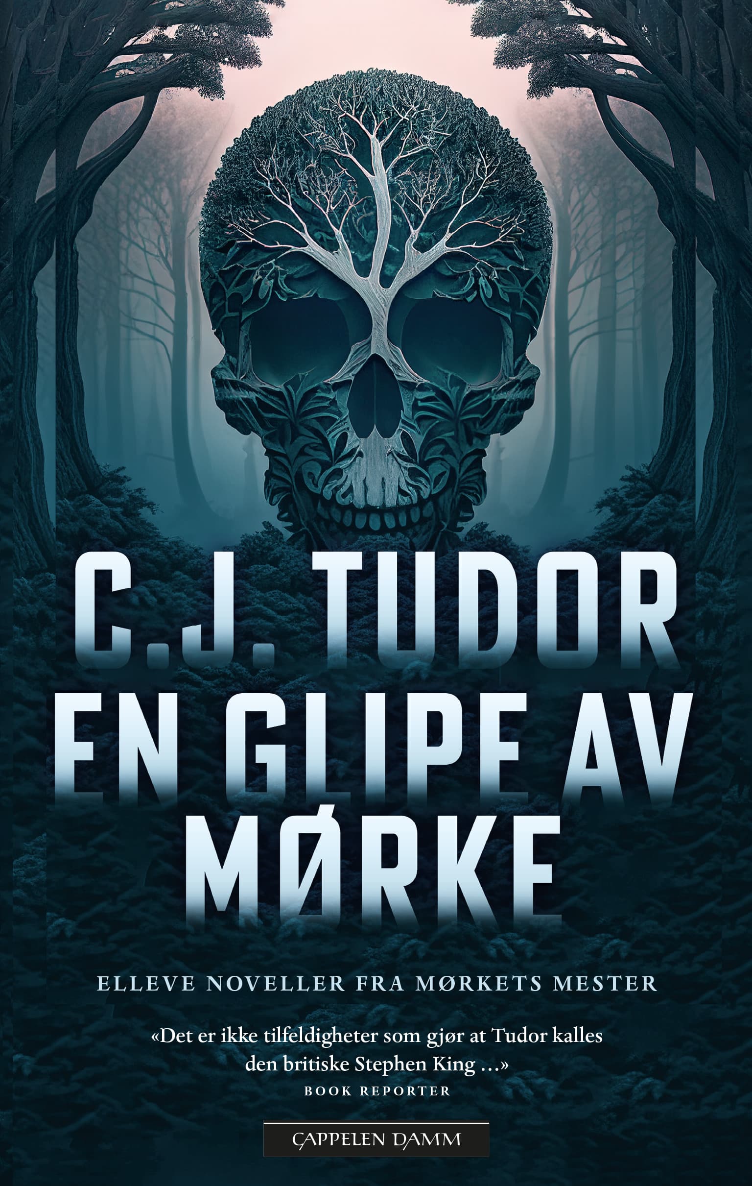 Omslag En glipe av mørke av C.J. Tudor (Heftet)