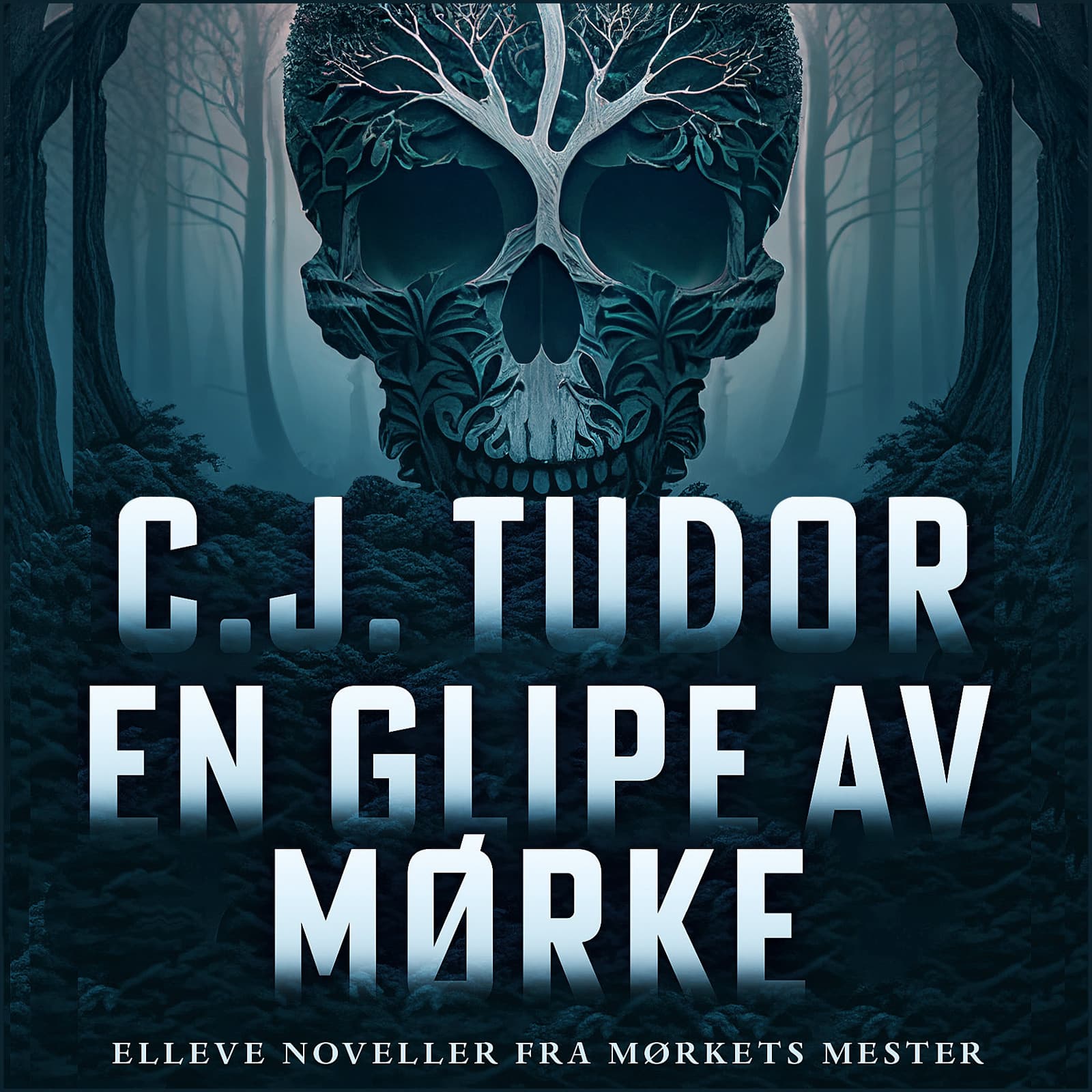 Omslag En glipe av mørke av C.J. Tudor (Lydbok)