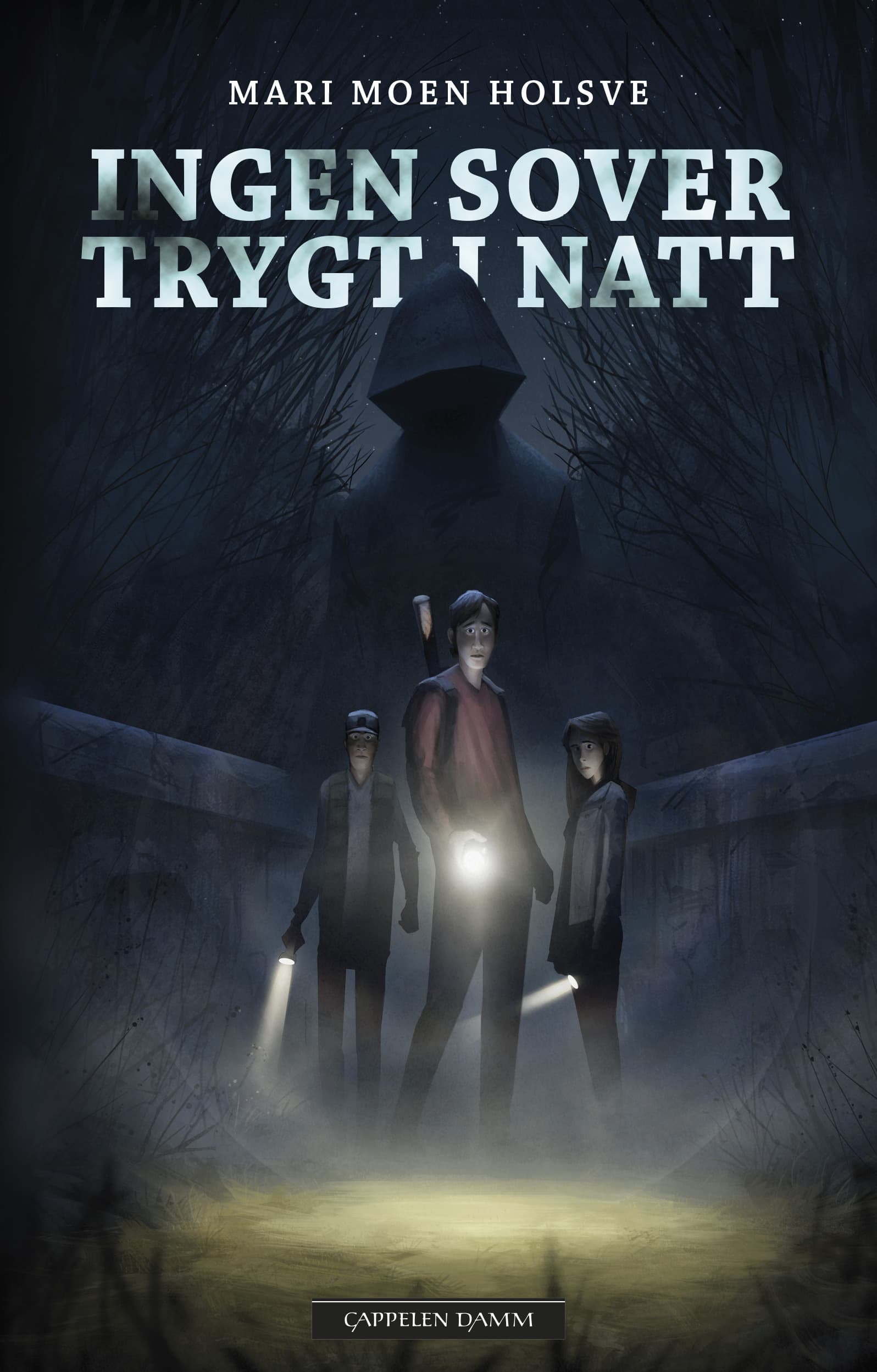 Omslag Ingen sover trygt i natt av Mari Moen Holsve (Innbundet)
