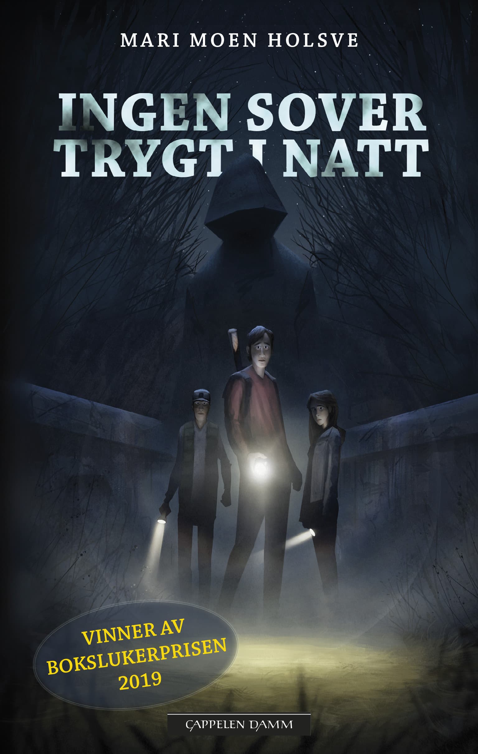 Omslag Ingen sover trygt i natt av Mari Moen Holsve (Heftet)