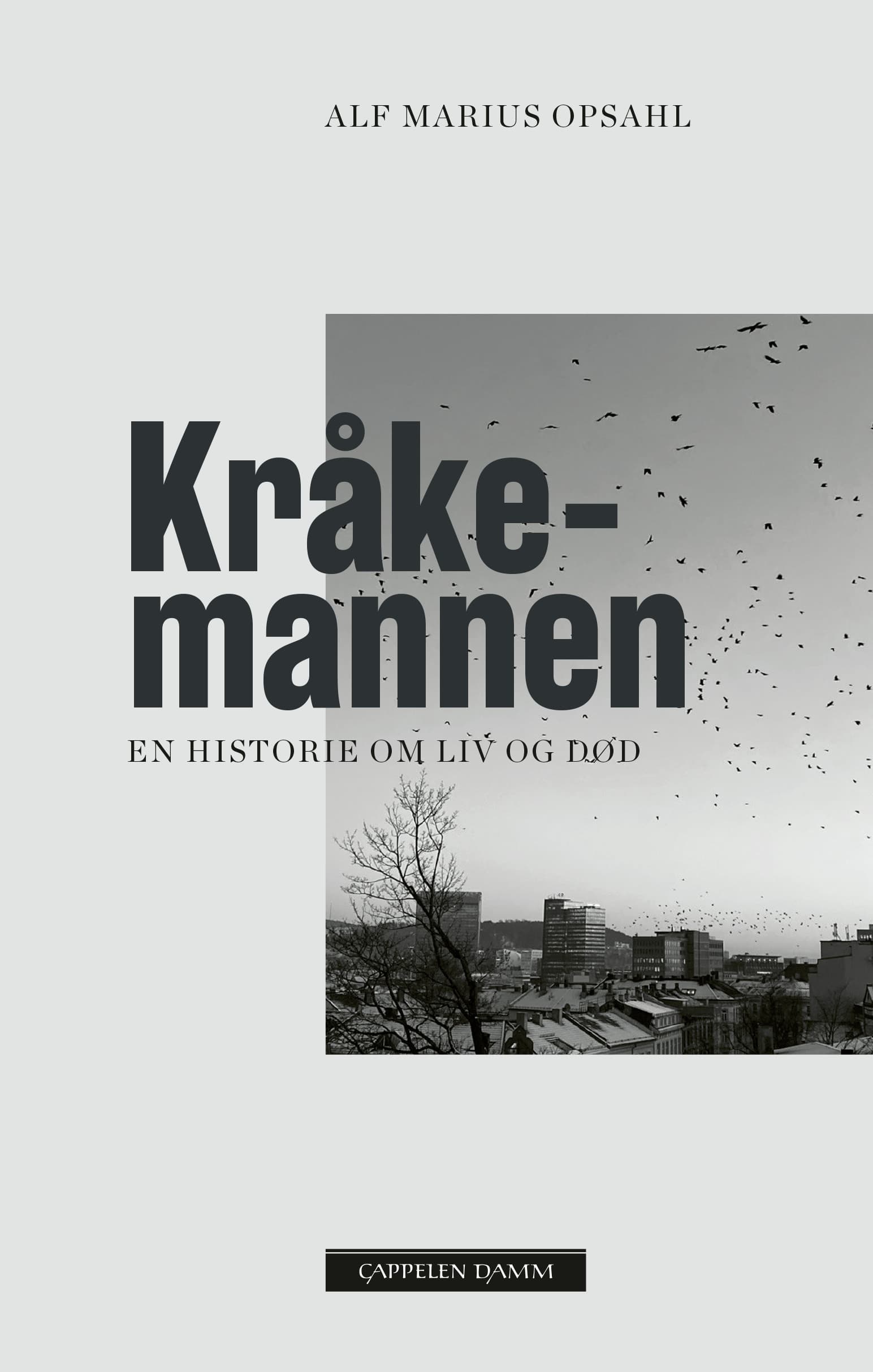 Omslag Kråkemannen av Alf Marius Opsahl (Ebok)