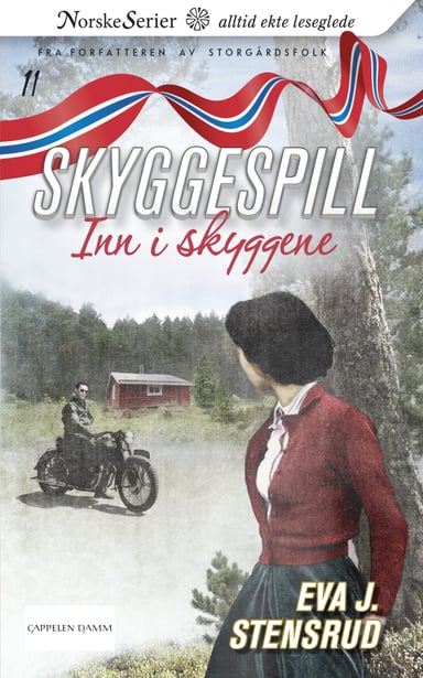 Omslag av "Inn i skyggene"