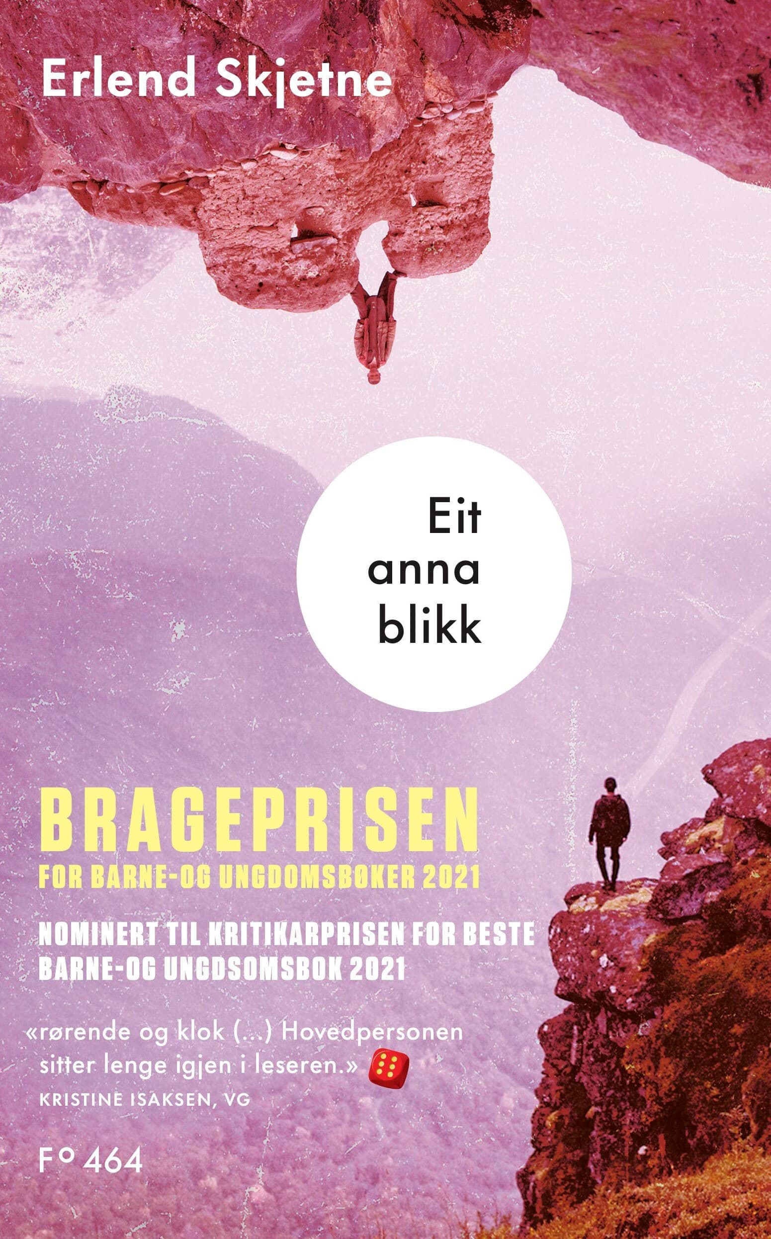 Omslag Eit anna blikk av Erlend Skjetne (Ebok)