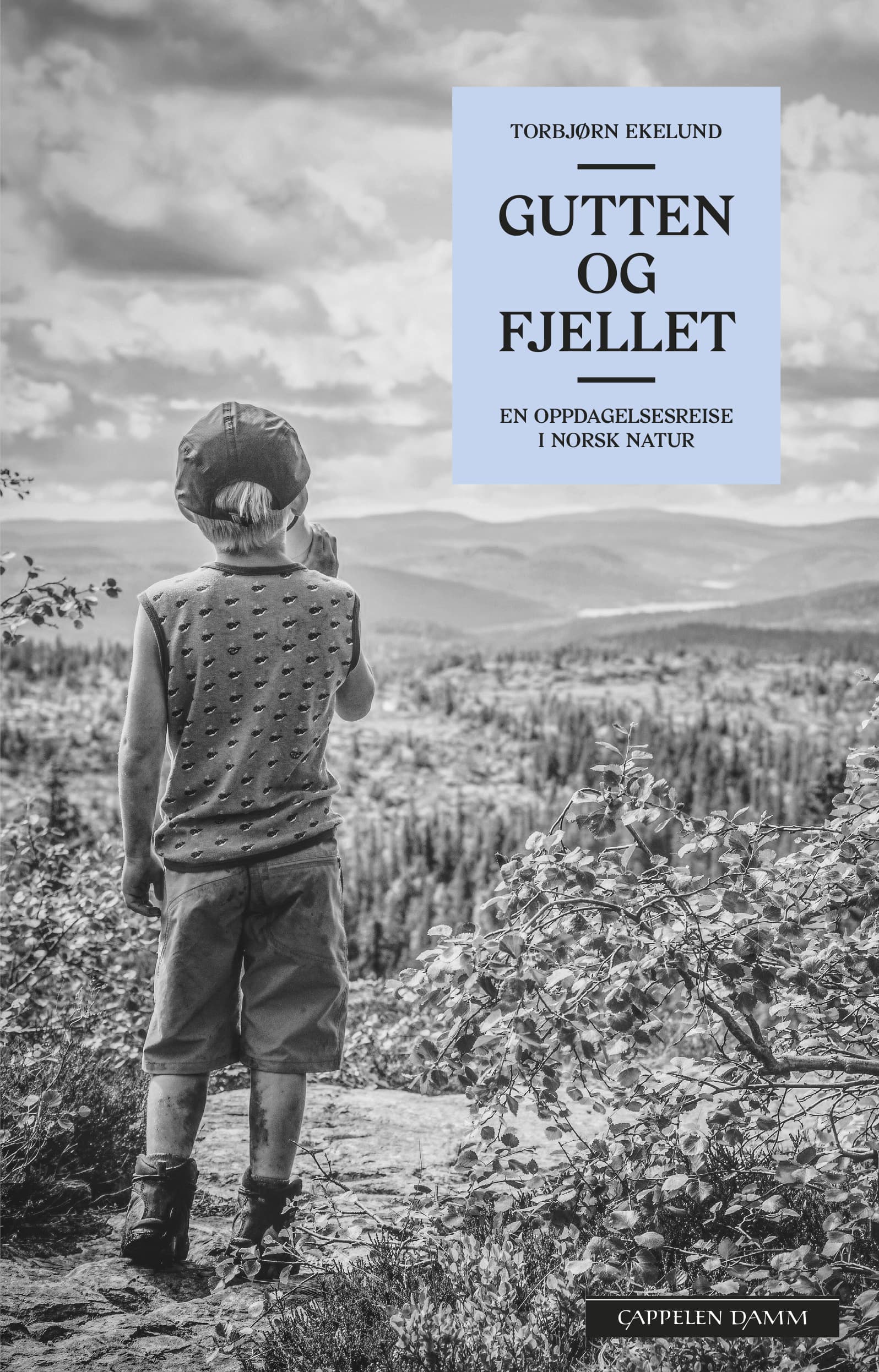 Omslag Gutten og fjellet av Torbjørn Ekelund (Ebok)