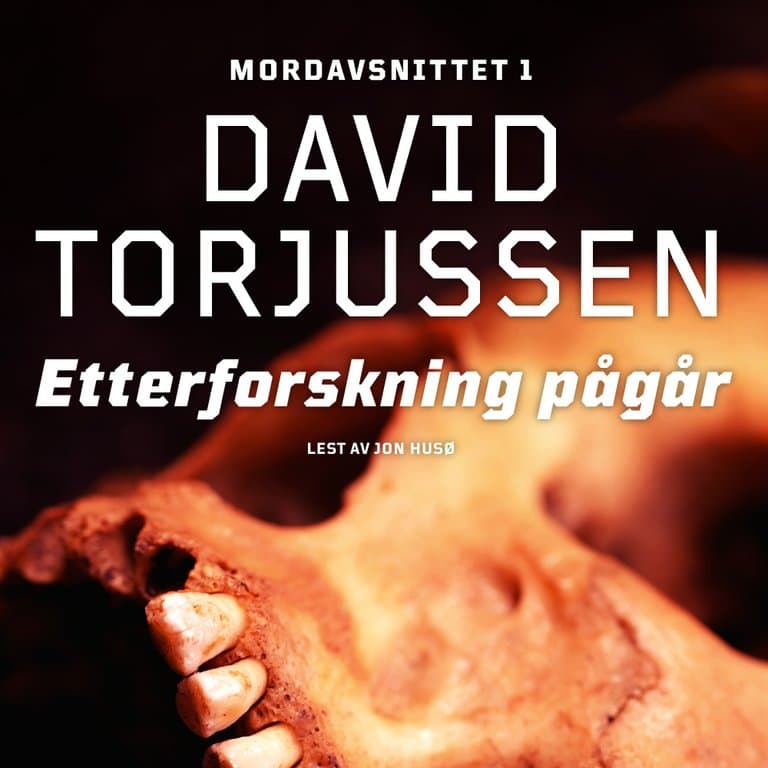Omslag Etterforskning pågår av David Torjussen (Lydbok)