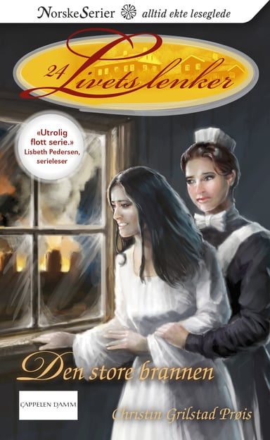 Omslag av "Den store brannen"