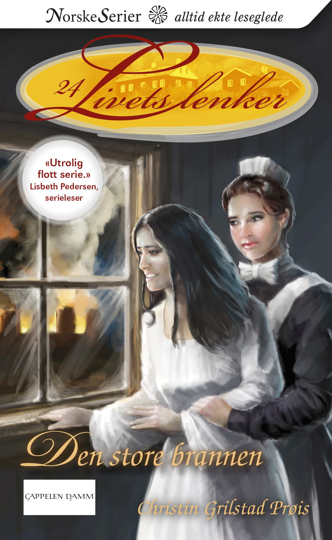 Omslag Den store brannen av Christin Grilstad Prøis (Ebok)