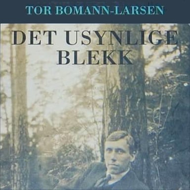 Omslag av "Det usynlige blekk"