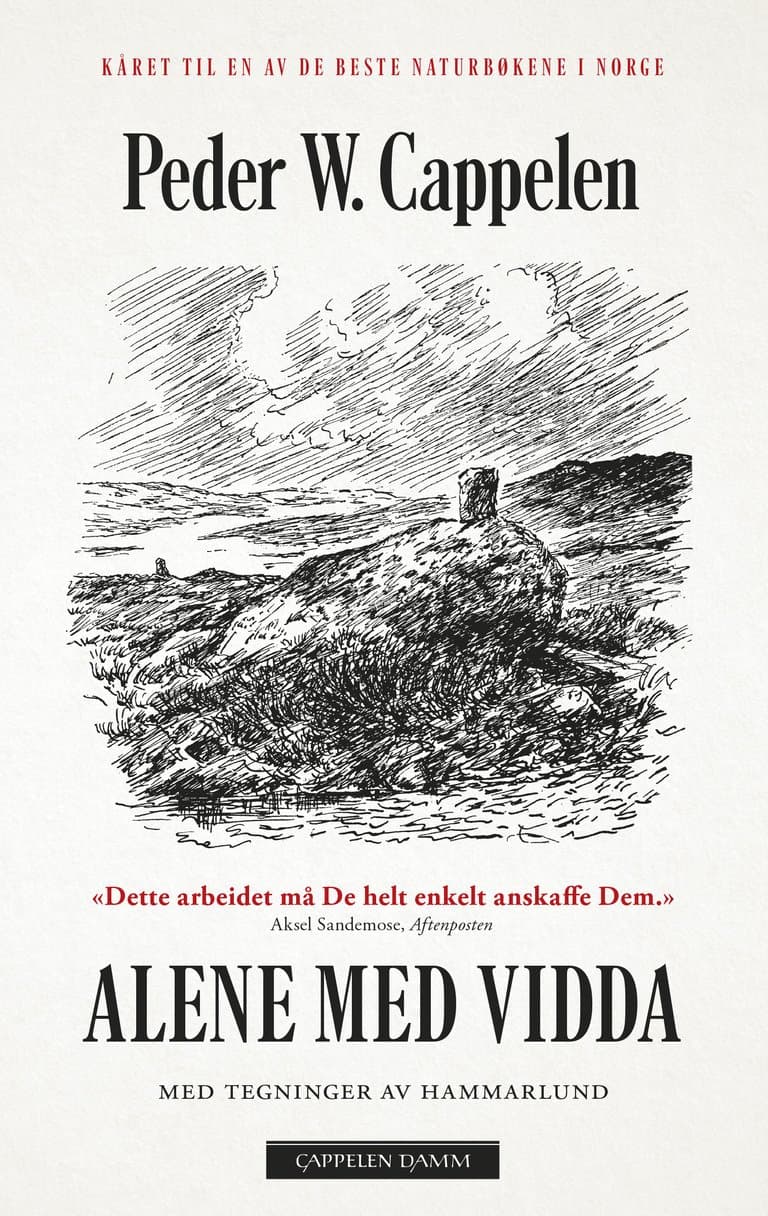 Omslag Alene med vidda av Peder W. Cappelen (Ebok)