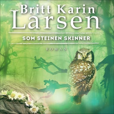 Som steinen skinner