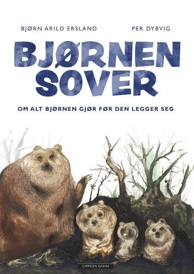 Omslag av "Bjørnen sover"