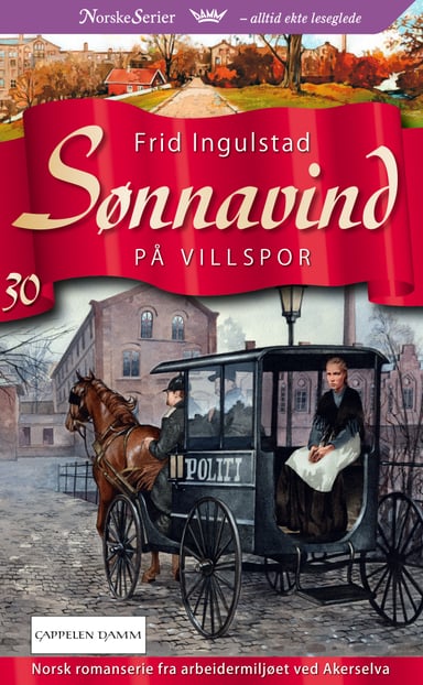 Omslag av "På villspor"