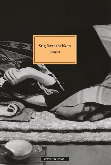 Omslag Besøket av Stig Sæterbakken (Heftet)