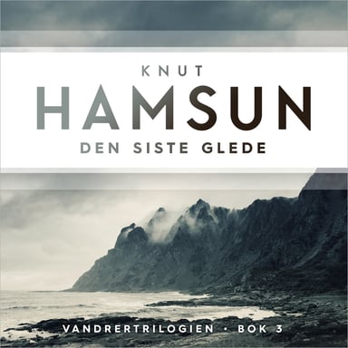 Omslag av "Den siste glede"