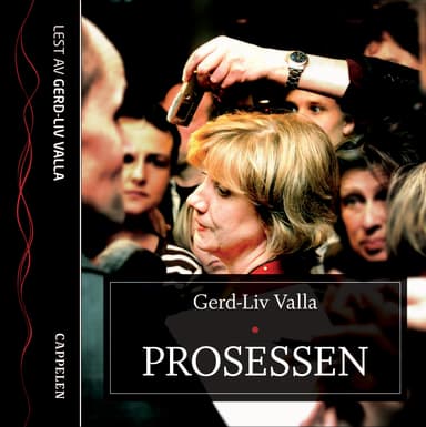 Prosessen