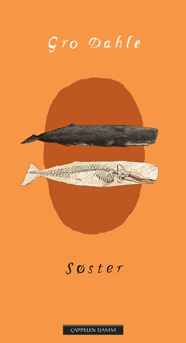 Omslag Søster av Gro Dahle (Ebok)
