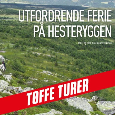 Omslag av "Utfordrende ferie på hesteryggen"