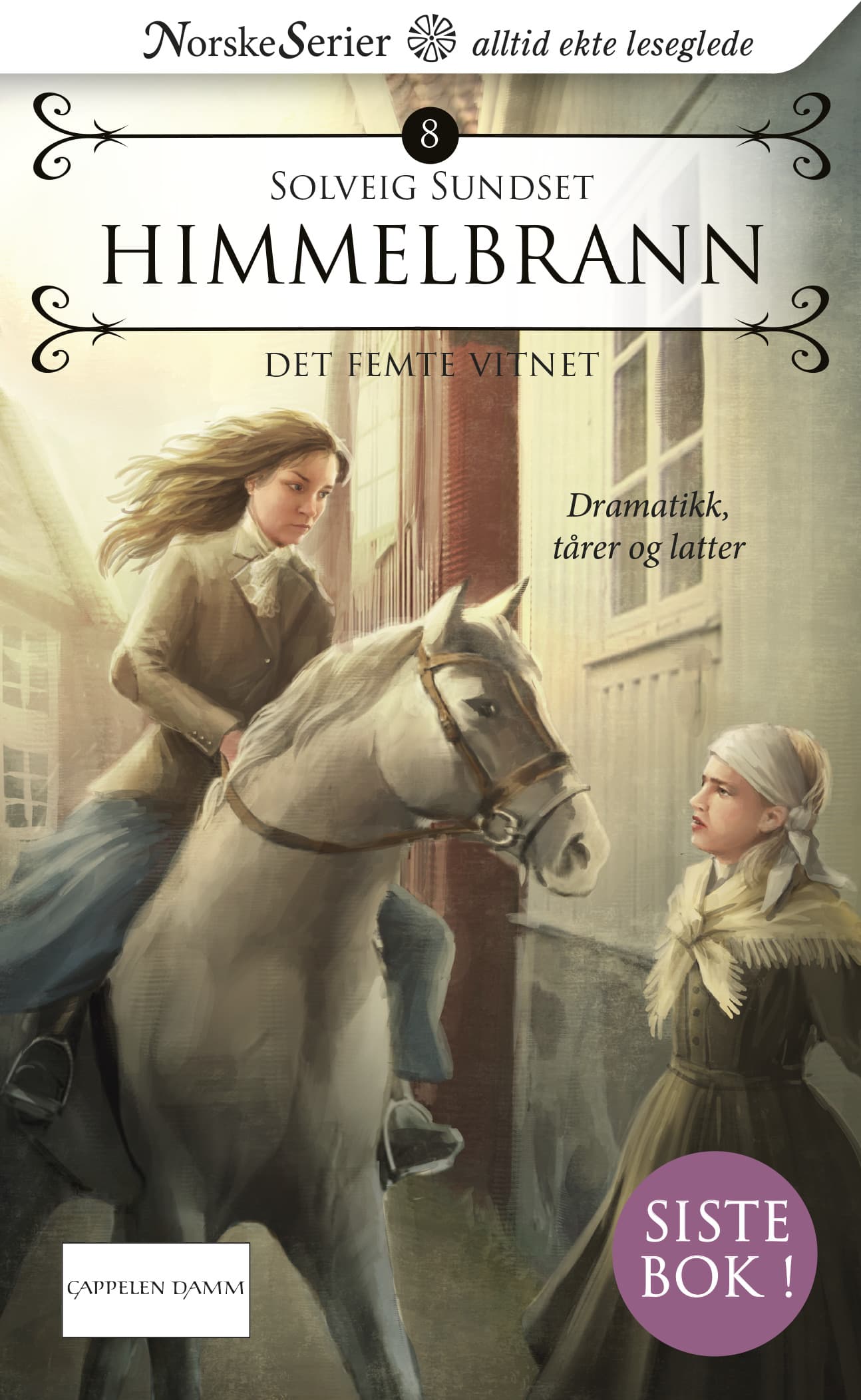 Omslag Det femte vitnet av Solveig Sundset (Ebok)
